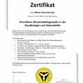 Powiększ obraz: certificate 3