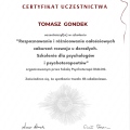 Powiększ obraz: certificate 64