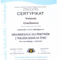 Powiększ obraz: certificate 41