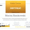 Powiększ obraz: certificate 4