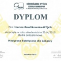 Powiększ obraz: certificate 1
