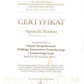 Powiększ obraz: certificate 7