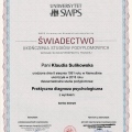 Powiększ obraz: certificate 4