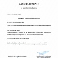 Powiększ obraz: certificate 29