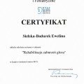 Powiększ obraz: certificate 13