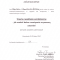 Powiększ obraz: certificate 2