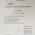 Powiększ obraz: certificate 2