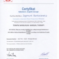 Powiększ obraz: certificate 42