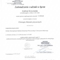 Powiększ obraz: certificate 7