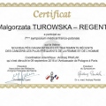 Powiększ obraz: certificate 4