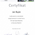 Powiększ obraz: certificate 10
