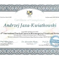 Powiększ obraz: certificate 4