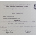 Powiększ obraz: certificate 2