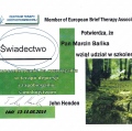 Powiększ obraz: certificate 7