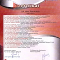 Powiększ obraz: certificate 11