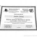 Powiększ obraz: certificate 2