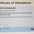 Powiększ obraz: certificate 25