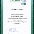 Powiększ obraz: certificate 45