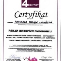 Powiększ obraz: certificate 7
