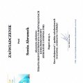 Powiększ obraz: certificate 2