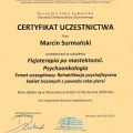 Powiększ obraz: certificate 11