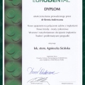 Powiększ obraz: certificate 42