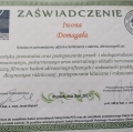 Powiększ obraz: certificate 17