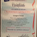 Powiększ obraz: certificate 4
