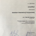 Powiększ obraz: certificate 31
