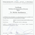 Powiększ obraz: certificate 6