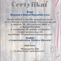 Powiększ obraz: certificate 15