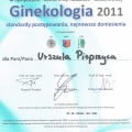 Powiększ obraz: certificate 21