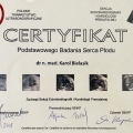 Powiększ obraz: certificate 8
