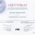 Powiększ obraz: certificate 10