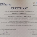 Powiększ obraz: certificate 7