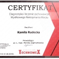 Powiększ obraz: certificate 11