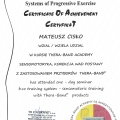 Powiększ obraz: certificate 2