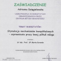 Powiększ obraz: certificate 9