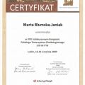 Powiększ obraz: certificate 1