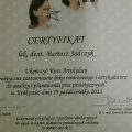 Powiększ obraz: certificate 12