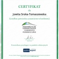 Powiększ obraz: certificate 6