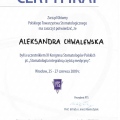 Powiększ obraz: certificate 23