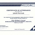 Powiększ obraz: certificate 28