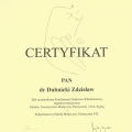 Powiększ obraz: certificate 8