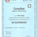 Powiększ obraz: certificate 9