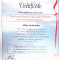 Powiększ obraz: certificate 6