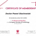 Powiększ obraz: certificate 2