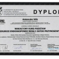 Powiększ obraz: certificate 19