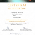 Powiększ obraz: certificate 8