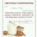 Powiększ obraz: certificate 41
